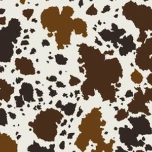 Meet your Posher, Avrie